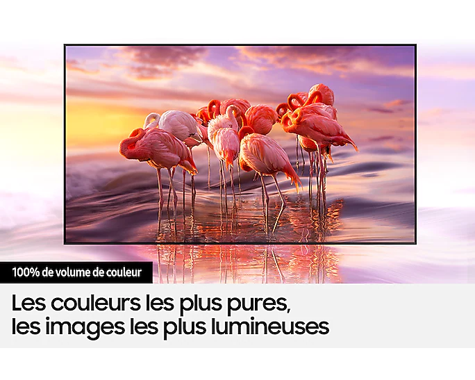 Téléviseur Samsung QLED 4K 65 pouces Q60T – Image 8